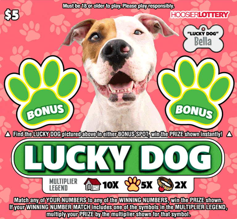 LUCKY DOG